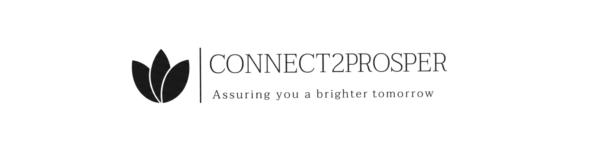 Connect2Prosper Logo